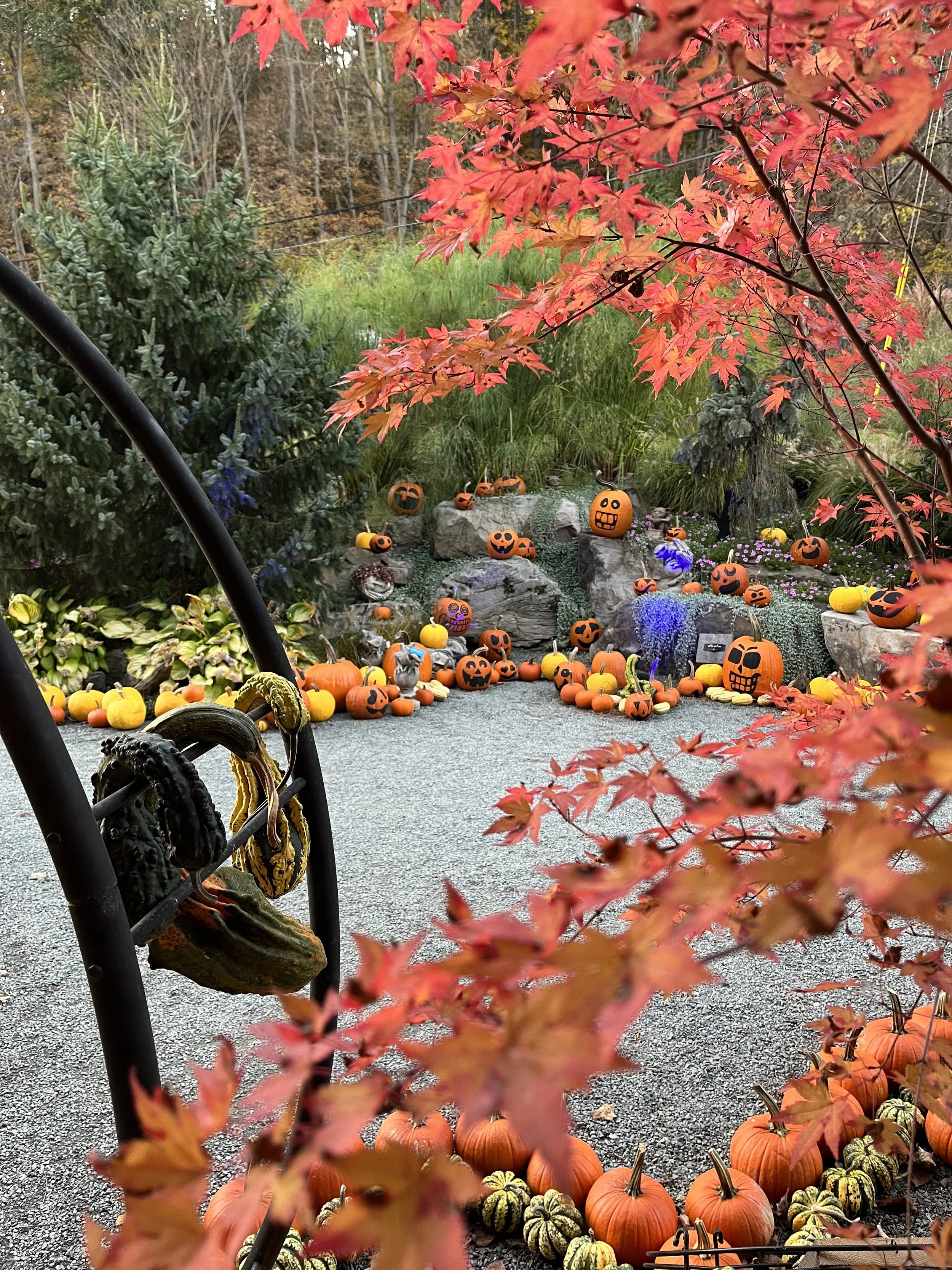 Jasper — Creekside Gardens